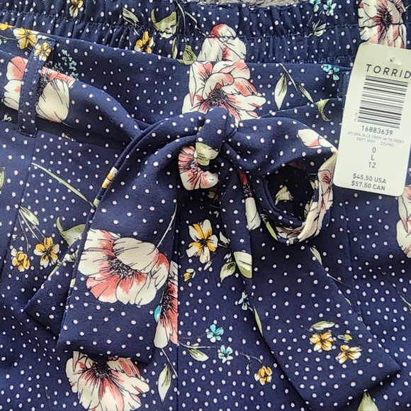 Torrid Shorts - Picture 3 of 3